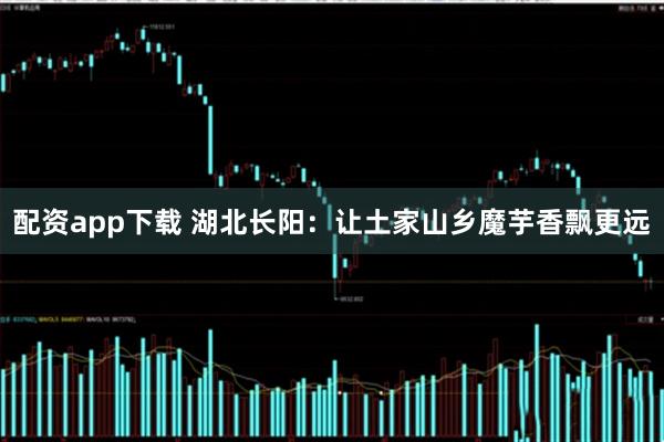 配资app下载 湖北长阳：让土家山乡魔芋香飘更远