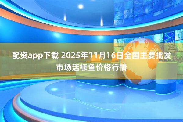 配资app下载 2025年11月16日全国主要批发市场活鳜鱼价格行情