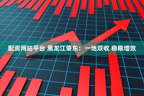 配资网站平台 黑龙江肇东：一地双收 稳粮增效