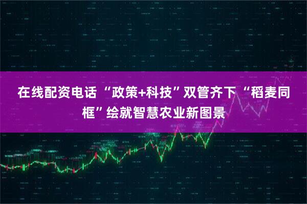 在线配资电话 “政策+科技”双管齐下 “稻麦同框”绘就智慧农业新图景
