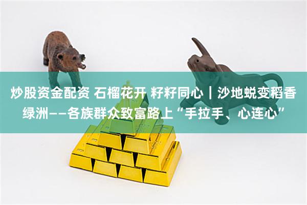 炒股资金配资 石榴花开 籽籽同心｜沙地蜕变稻香绿洲——各族群众致富路上“手拉手、心连心”
